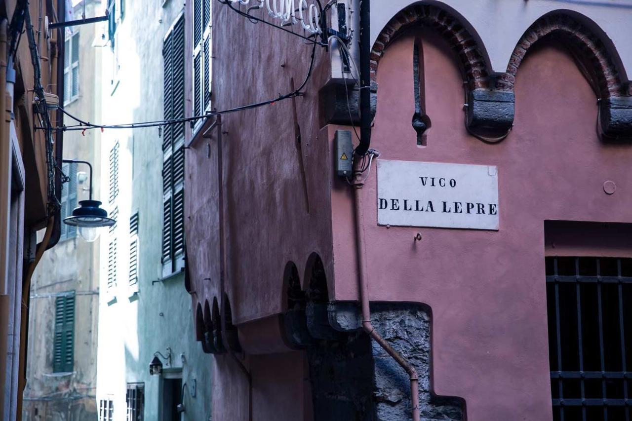 Zenamore * Genua