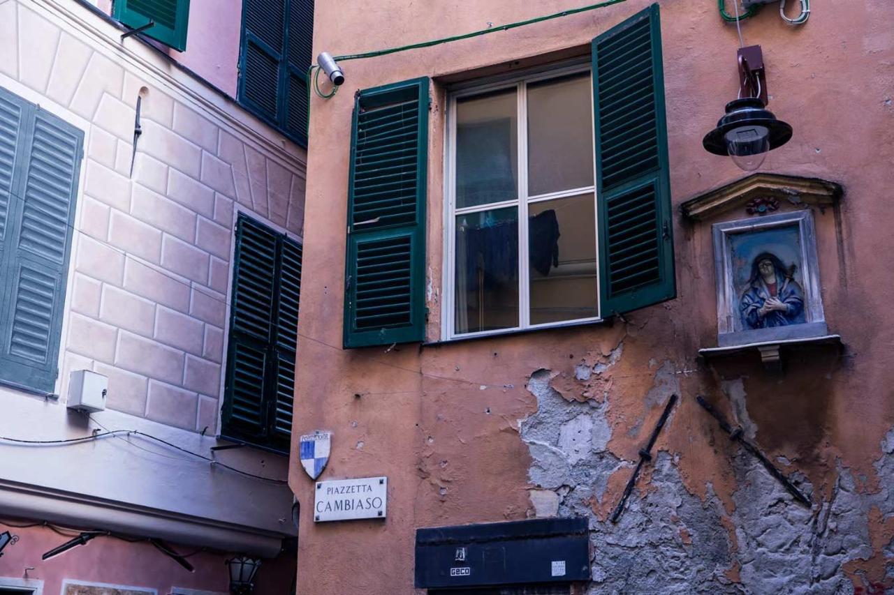 Zenamore Genua