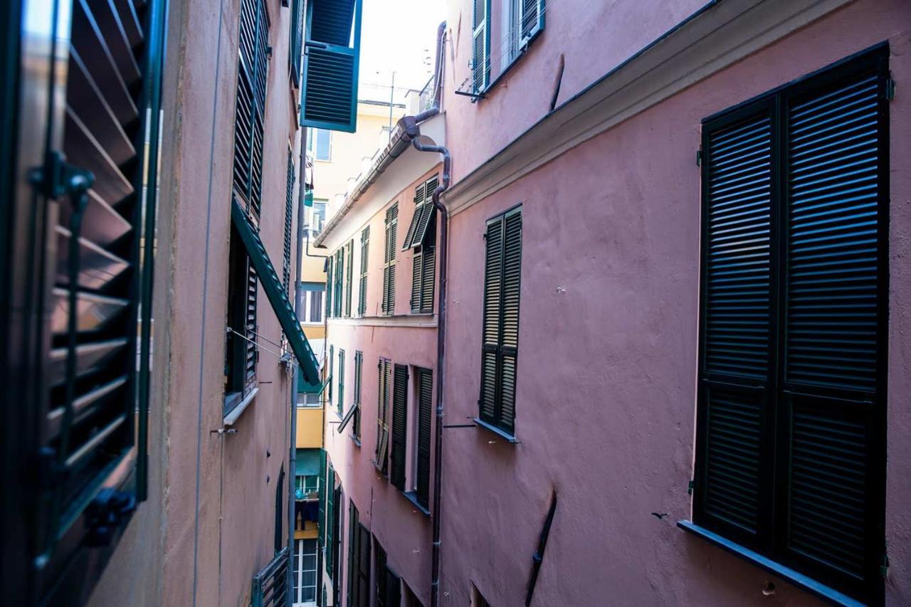 Zenamore Apartment *